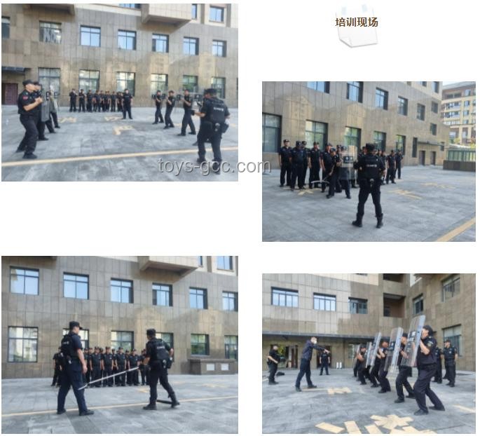 大厦保安索降盗窃亿元玉石案：未来法律惩治与安保升级趋势预测